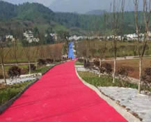 華潤(rùn)三九藥廠(chǎng)四川雅安藥材種植基地
